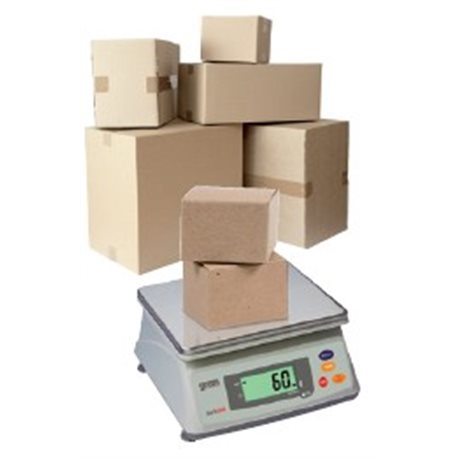 Balanza Industrial Serie DM -6000