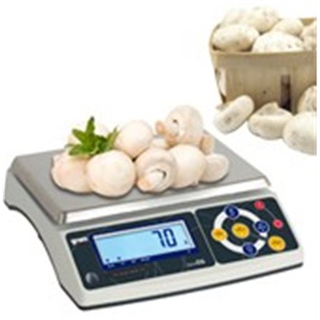 Balanza Industrial Serie DS-6